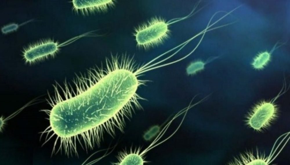 After 100 million years, the scientists managed to wake up certain microbes. What a cure for sleep.