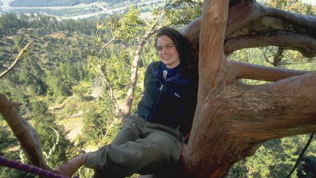 The woman who lived on a redwood for two years