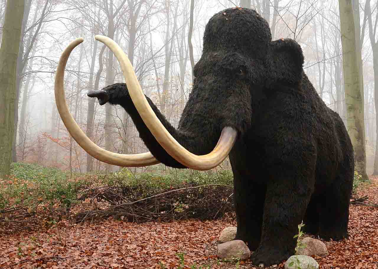 extinct animals mammoth