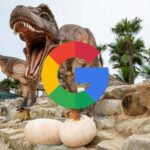 Google adds 50 animals that can be seen in 3D and augmented reality
