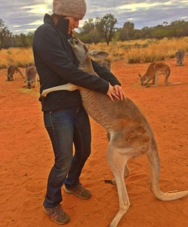 Like dogs, kangaroos communicate and bond with people.