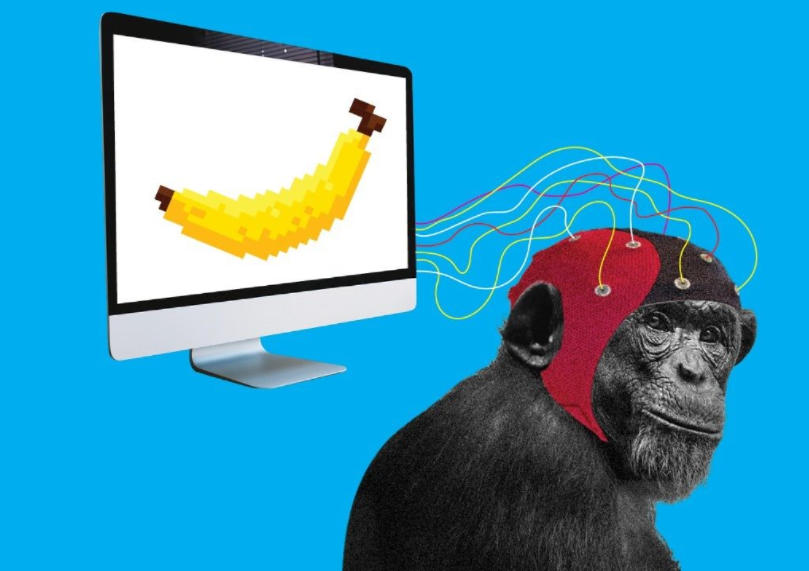 The monkey that can play video games, another controversial Tesla project.