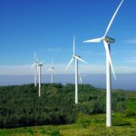 Wind energy is growing in the world supply