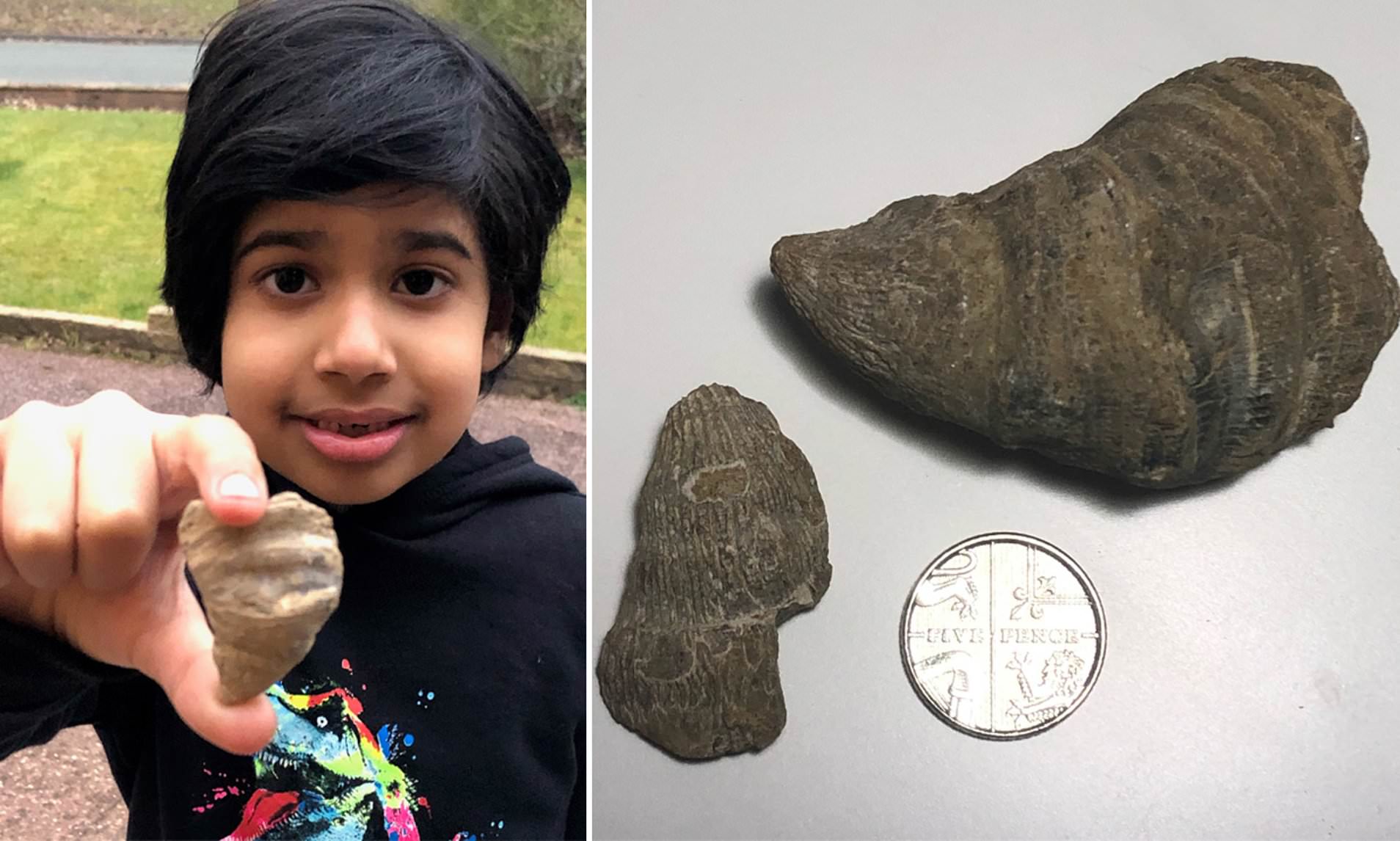 The boy who found a fossil in his garden proudly shows his discovery.