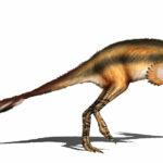 Dinosaurs that ate ants