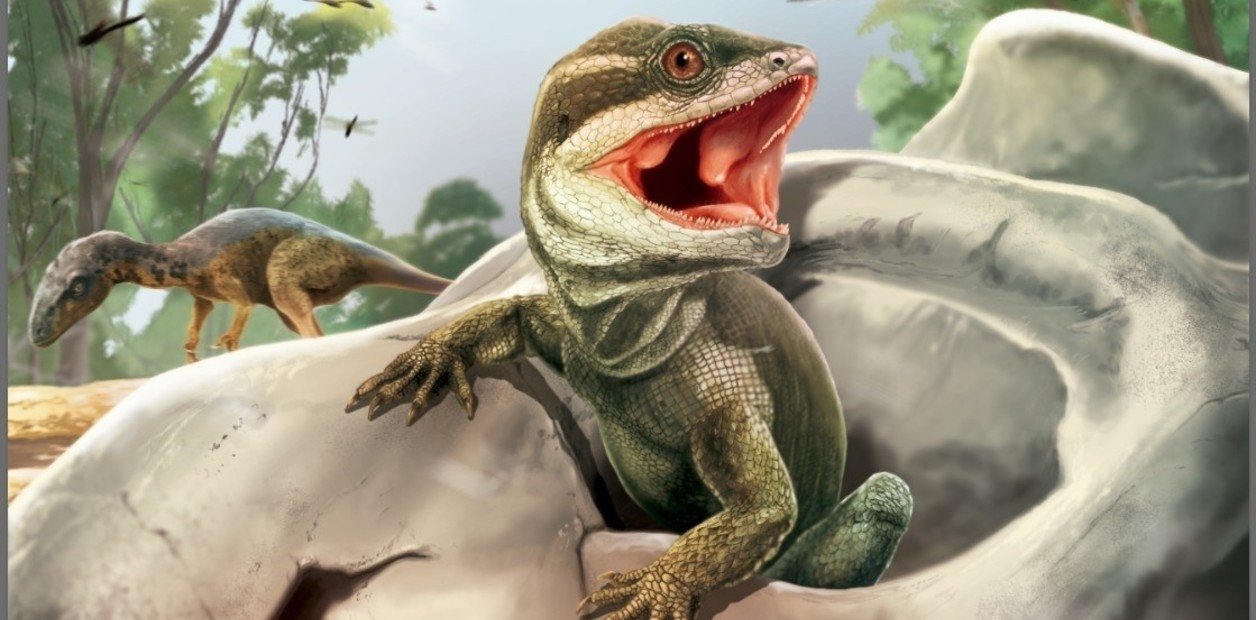 The great ancestor of the reptiles