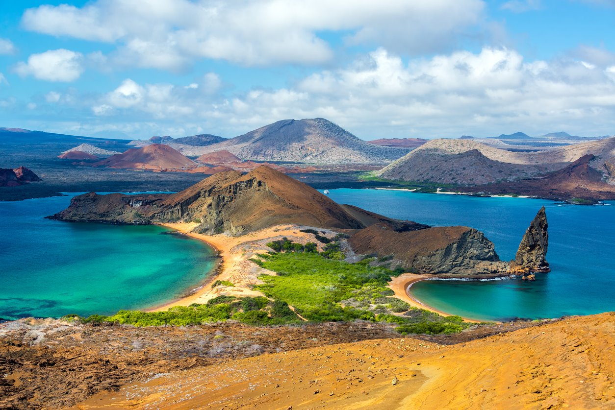 In Galapagos there is a diverse fauna that attracts many scientists.