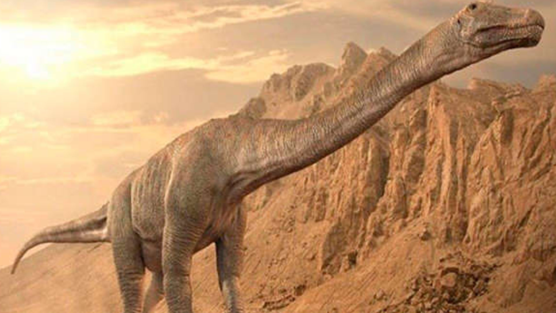 The titanosaur is among the largest animals on Earth.