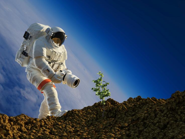Plants grown on the Moon would favor missions on the satellite.