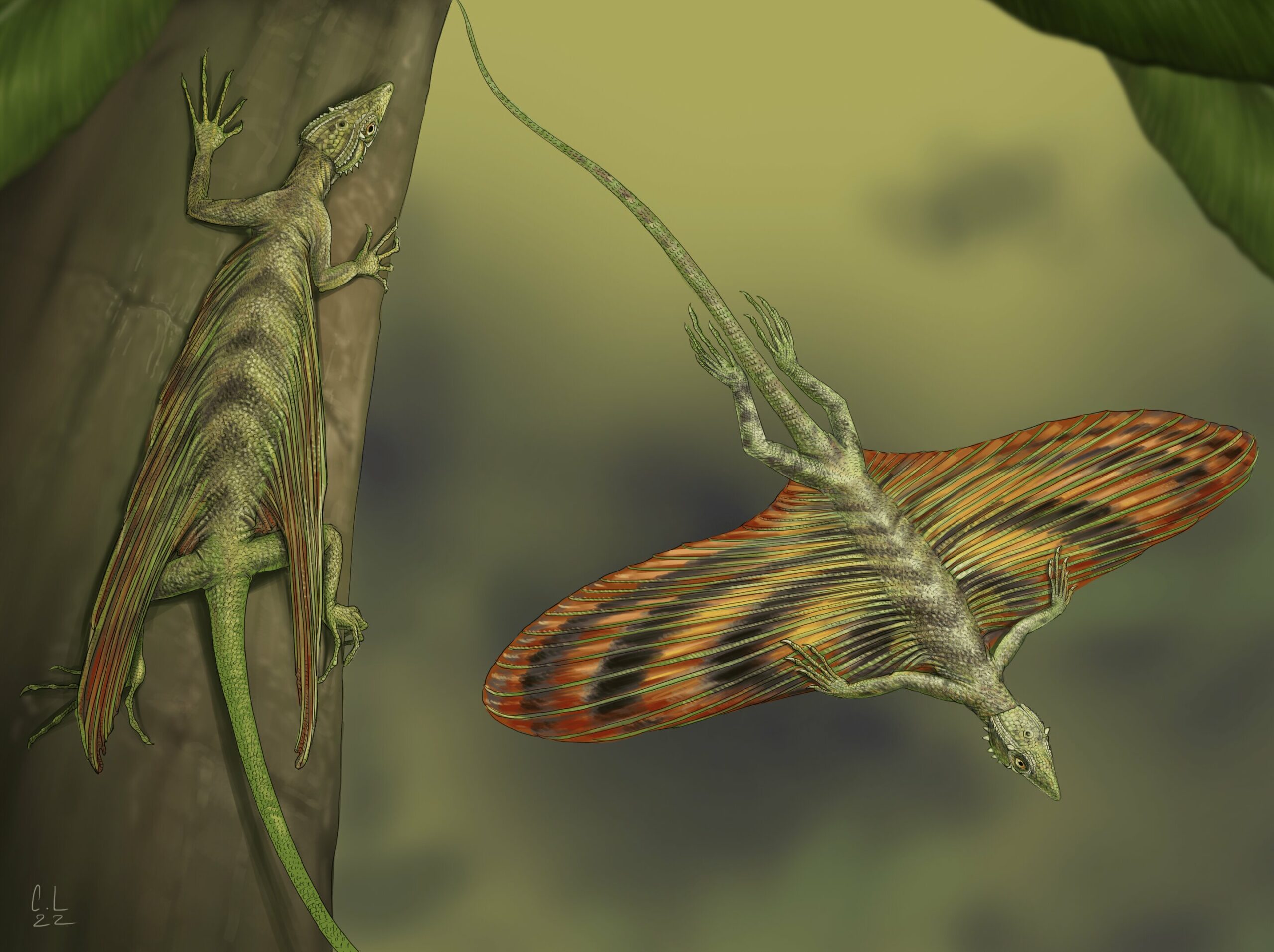 The world's first flying reptile was described.