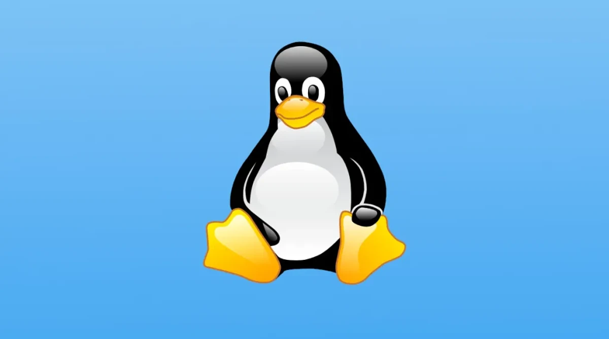 What-is-Linux-and-what-are-its-advantages.webp.webp