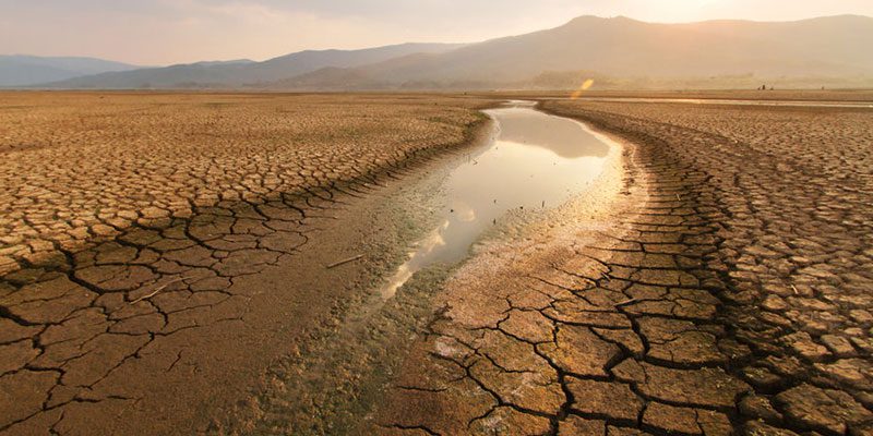 Droughts will become more intense and prolonged.