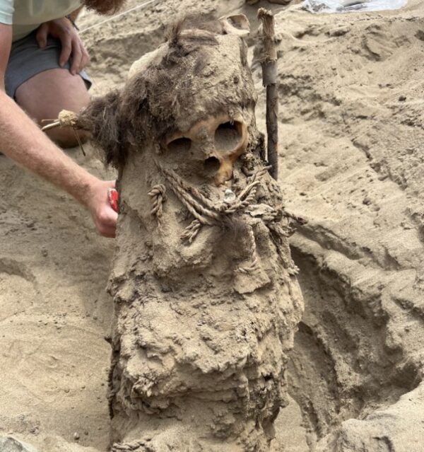 1702321769_668_Peruvian-mummies-of-newborns.png