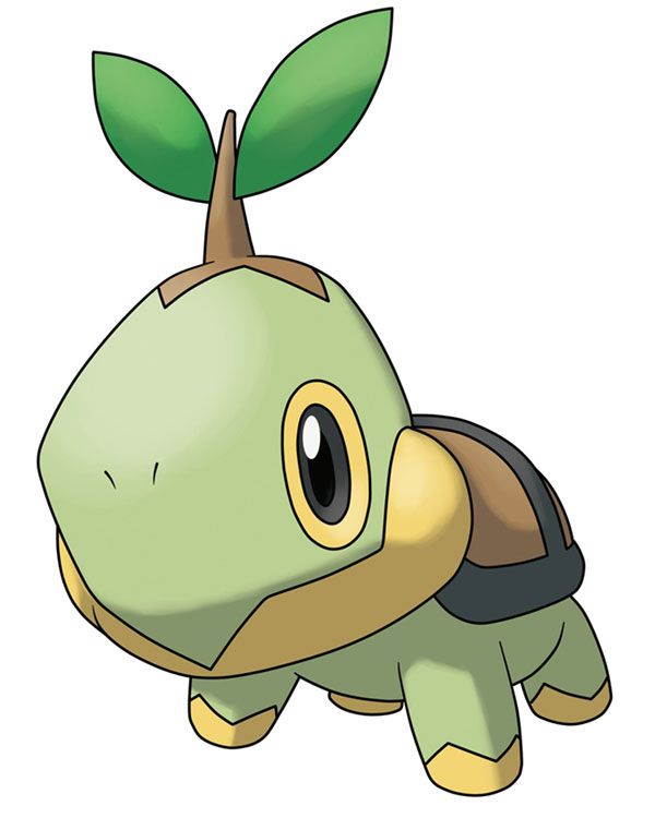 The-fossil-of-the-plant-that-was-a-turtle.jpg